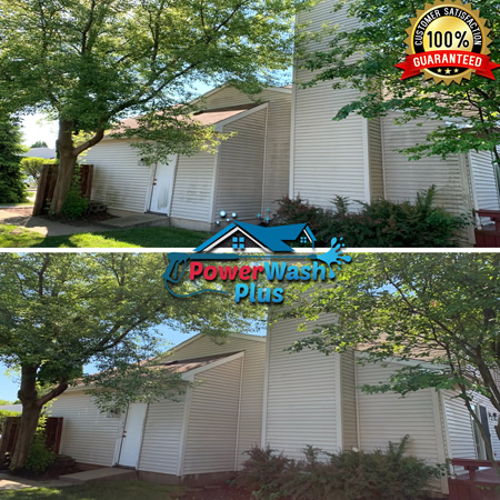 Soft washed vinyl siding on a waukegan il home after algae removal